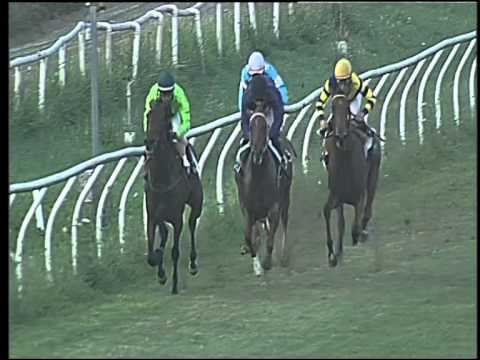 Galoppo 11/07/2015 - 1° corsa