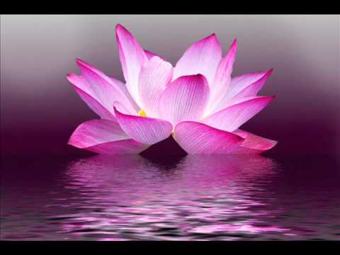Healing Music for The Body & Soul - Relaxing Music, Meditation Music, Instrumental Music - 2016