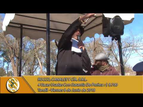 08-06-18 Venta de Vientres - Rocco, Canales y Cía. S.R.L. - Rauch