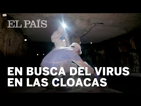 #CORONAVIRUS | Así se busca dentro de las CLOACAS y las AGUAS FECALES