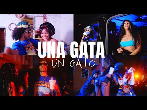 Briante, Loco Prieto - Una Gata Un Gato (Video Oficial) @monchololavainilla
