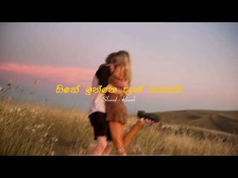 Hithe Inne Den Oyamai | Adarei Mn Adarei (Slowed + Reverb) #manoparakata #lofi #hirutv