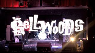 A Beautiful Thing: Portland Happening & Psych Fest: The Sellwoods - 08/09/14 - Part 1