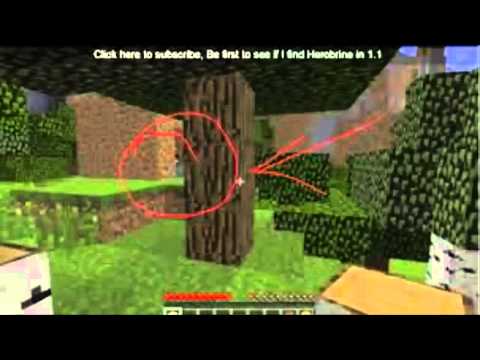 La Vera Storia Di Herobrine by Frambo02