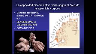 Somestesia (Parte 2)