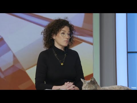 Da li je kafa na prazan stomak dobra i koliko je dorucak bitan? - DJS - (TV Happy 03.02.2023)