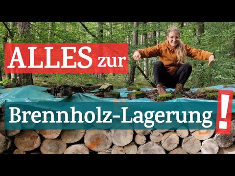 Holz lagern wie die Profis: So trocknet dein Brennholz optimal!