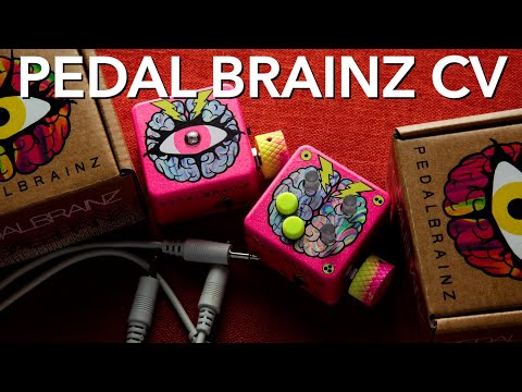 Pedal Brainz: Left Brain & 3rd Eye CV // Control Voltage