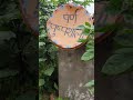 my garden diy name plate / recycling/upcycling dishtv antenna ideas