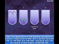 Meselson Stahl Experiment Animation