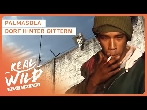 Palmasola: Das kriminellste Dorf Südamerikas | Doku