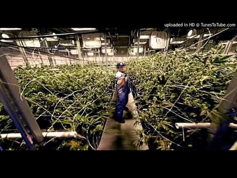 download lagu mp3 mp4 Soy Agricultor, download mp3 Soy Agricultor free downloadn, video klip Soy Agricultor