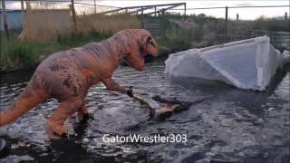Trex Feeding Elvis the Alligator