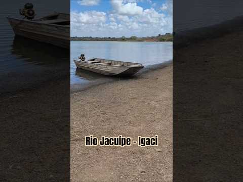 Um pouco do Rio Jacuípe, em Igaci - AL