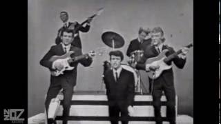 Ray Columbus & The Invaders - She's A Mod (1964)