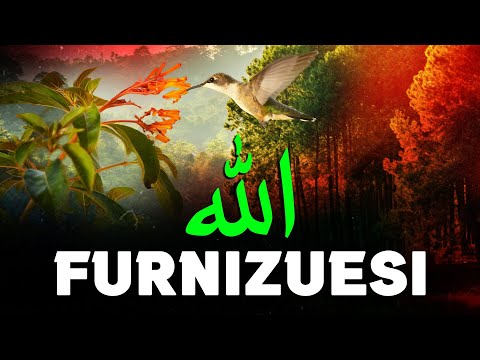 99 Emrat e Allahut - Furnizuesi