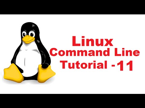 Linux Command Line Tutorial For Beginners 11 - touch command