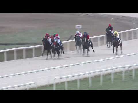 2020.12.27. 01. futam - KELLEMES ÜNNEPEKET HENDIKEP (V/b.) (szintetikus pálya)