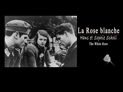 download lagu mp3 mp4 La Rose Blanche Film, download lagu La Rose Blanche Film gratis, unduh video klip La Rose Blanche Film