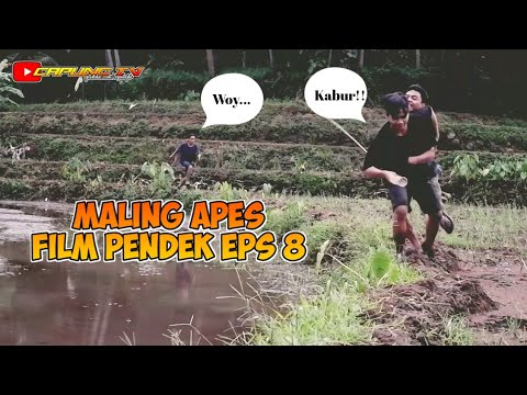 maling-apes-film-pendek-episode-7
