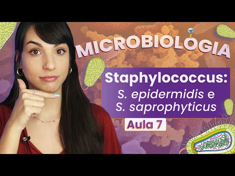 STAPHYLOCOCCUS: S. epidermidis e S.saprophyticus | Videoaula | Microbiologia | Flavonoide #7