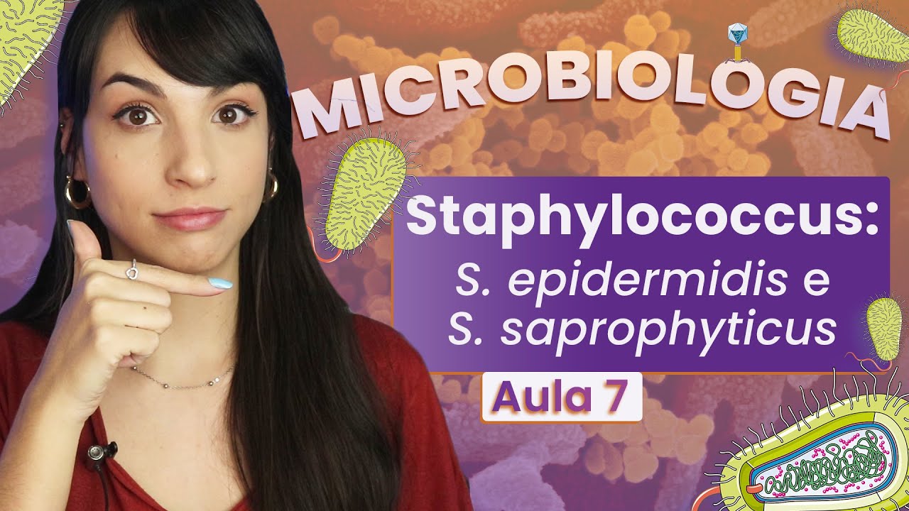 STAPHYLOCOCCUS: S. epidermidis e S.saprophyticus | Videoaula | Microbiologia | Flavonoide #7