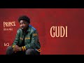 VJ Gudi