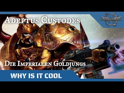 "Why is it cool?"- Adeptus Custodes