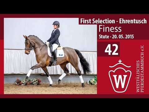 42 Finess  Stute v. First Selection - Ehrentusch