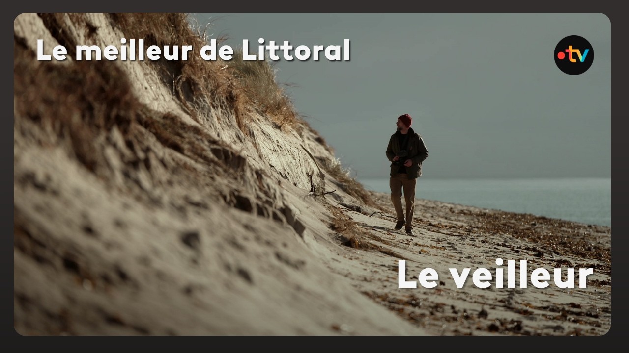 Illustration: Érosion en Bretagne : 25 tempêtes, 10 ans de films