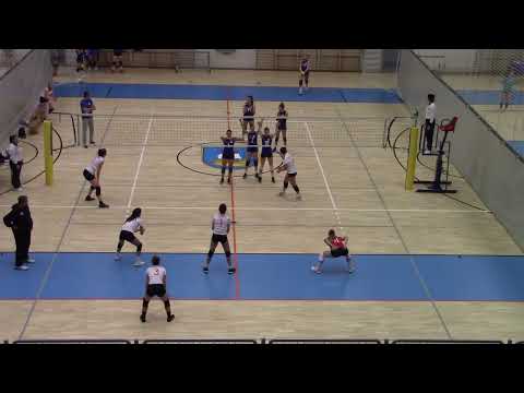 20221012 KUP KOSTRENA   DRENOVA movie