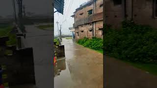 #rain #shortvideo #youtubeshorts #youtubeshorts #king #shortsvideo #shortsyout #shortsyoutube #kingk