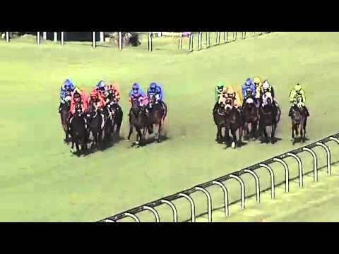 2016.03.26 Sycamore Sprint (RSA) - Tiger's Touch