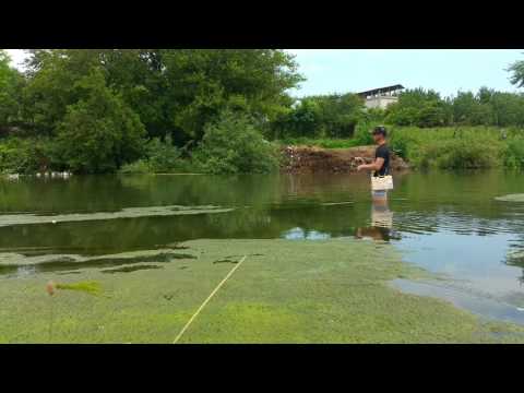 Spinning la clean : Small river with amazing chub fishing c&r nr1