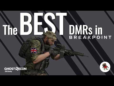 MUST have weapons in Breakpoint - DMRs | Must know weapon stats | Benginner's or Veteran's Tips
