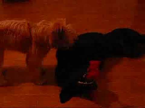 Lucy and her big brother