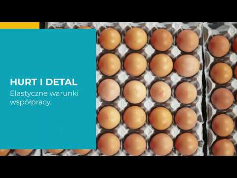 Egg-Pol Skup i Sprzedaż Jaj Adam Muszyński - video