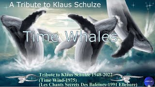 Time Whales