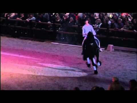 Adelinde Cornelissen featering Falco Luneau @ KFPS Hengstenkeuring WTC 2012