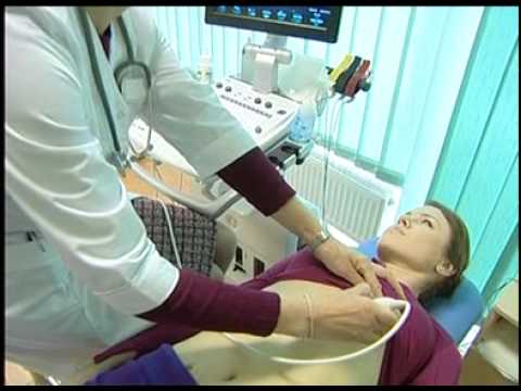 palangos linas viesbutis - reabilitacijos centras