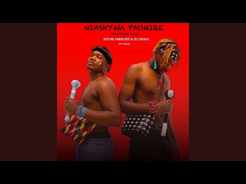 Kotini Fabulous & Dj Cognac ft. Kylie - Ndashywa Paumire (Official Audio)