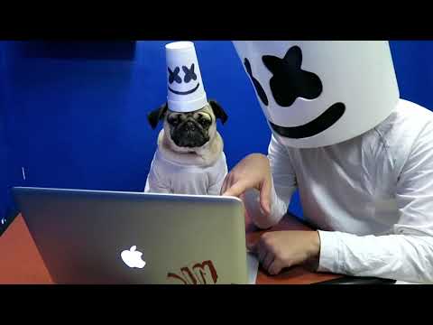 Doug The Pug x Marshmello   Music Video1080P HD