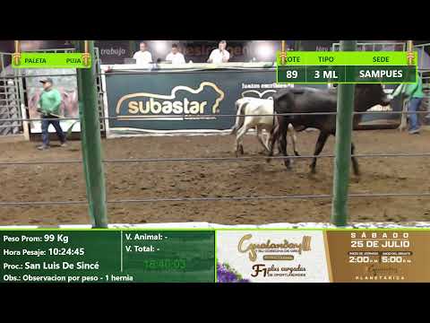 Subasta Virtual - Presencial Sampues  (E25) 26/06/2026