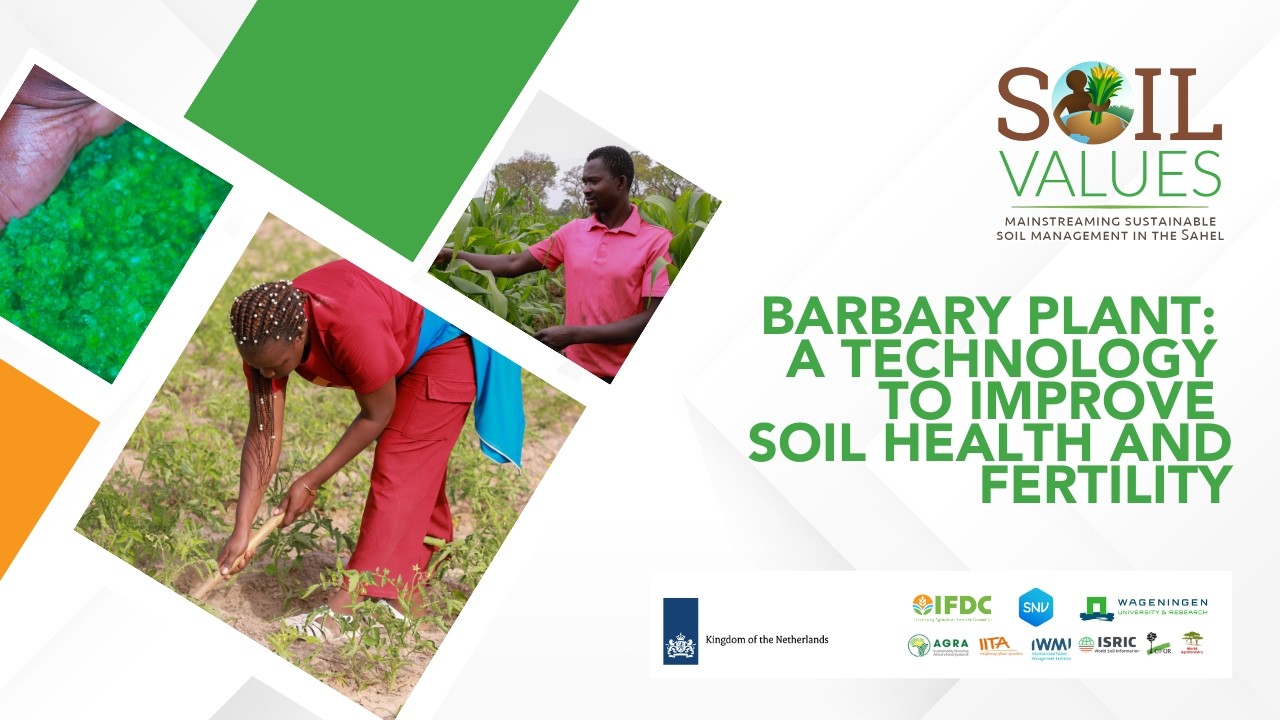 Barbary Plant: A Technology to Improve Soil Health and Fertility