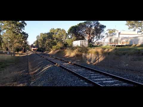 Zippy Vline approaching Castlemaine