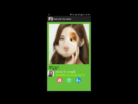 Past Life You Were Animal Face Video