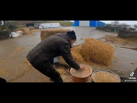 💩😂GÓWNEM MNIE WYMACAŁEŚ😂💩.Subskrybuj.