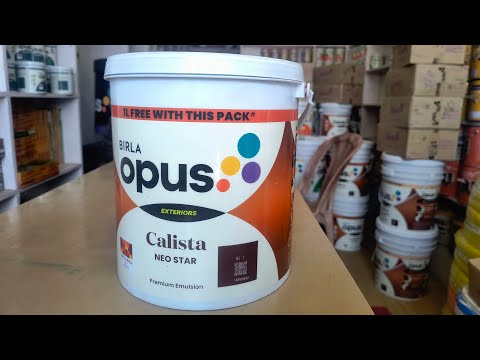 Best Emulsion for Exterior Birla Opus Ka Neo Star | Birla Opus का Neo Star का 4ltr पेंट