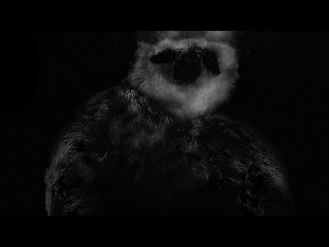 SCP-2774 The Slow Burn Sloth featuring @wildcat1043