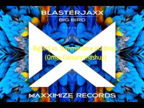 Bigbird vs Summertime Sadness (Omar Elebiary Mashup)